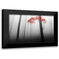 thumbnail image 1 of Petrovic, Dragisa 18x13 Black Modern Framed Museum Art Print Titled - illusion, 1 of 5