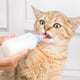 thumbnail image 3 of Botella De Bebida De Gato Juego de biberones para cachorros, alimentador de lactancia para perros y gatos con cepillo para chupete (azul), 3 of 3