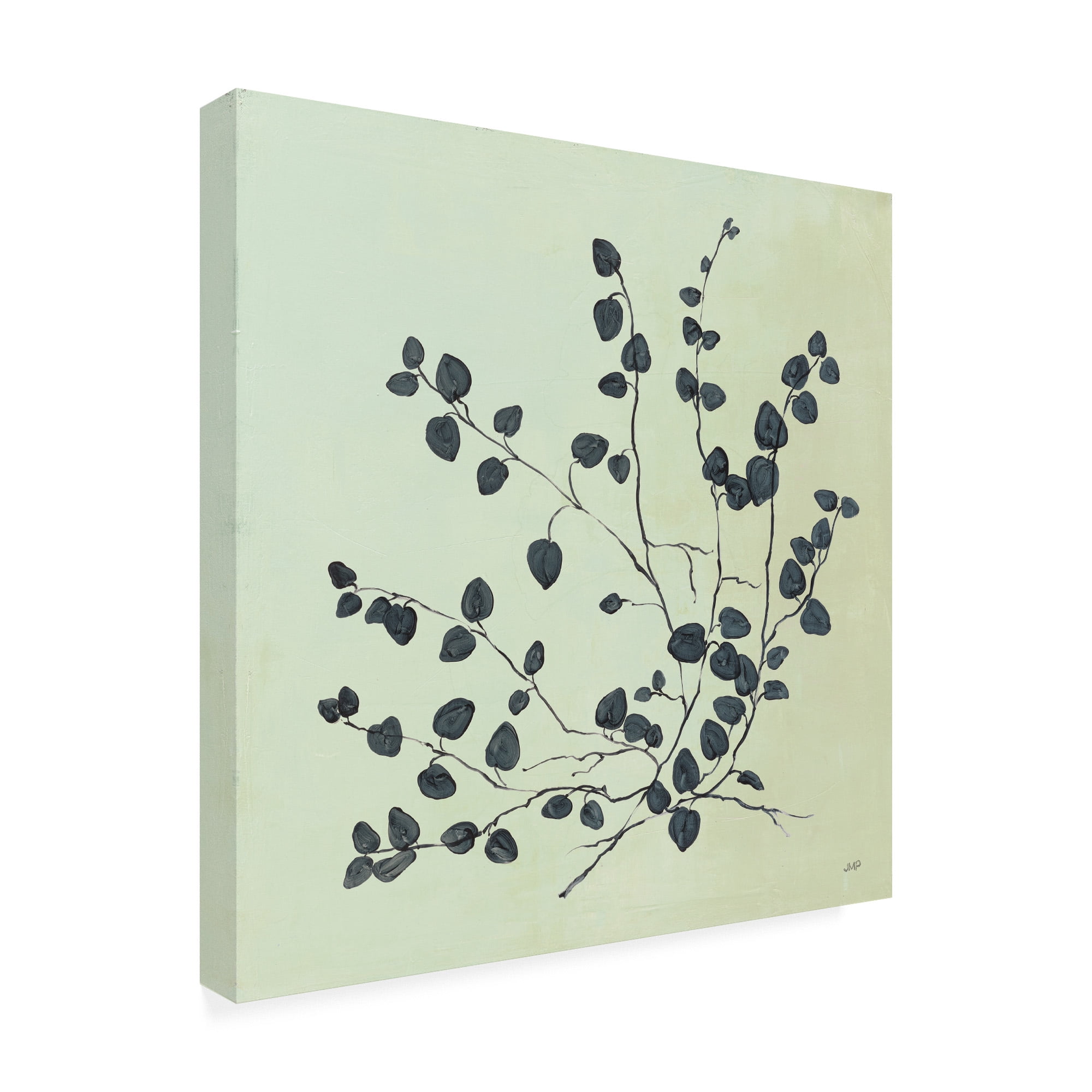 Trademark Fine Art 'Botanical Study VII Sage' Canvas Art by Julia Purinton