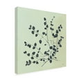 thumbnail image 2 of Trademark Fine Art 'Botanical Study VII Sage' Canvas Art by Julia Purinton, 2 of 3