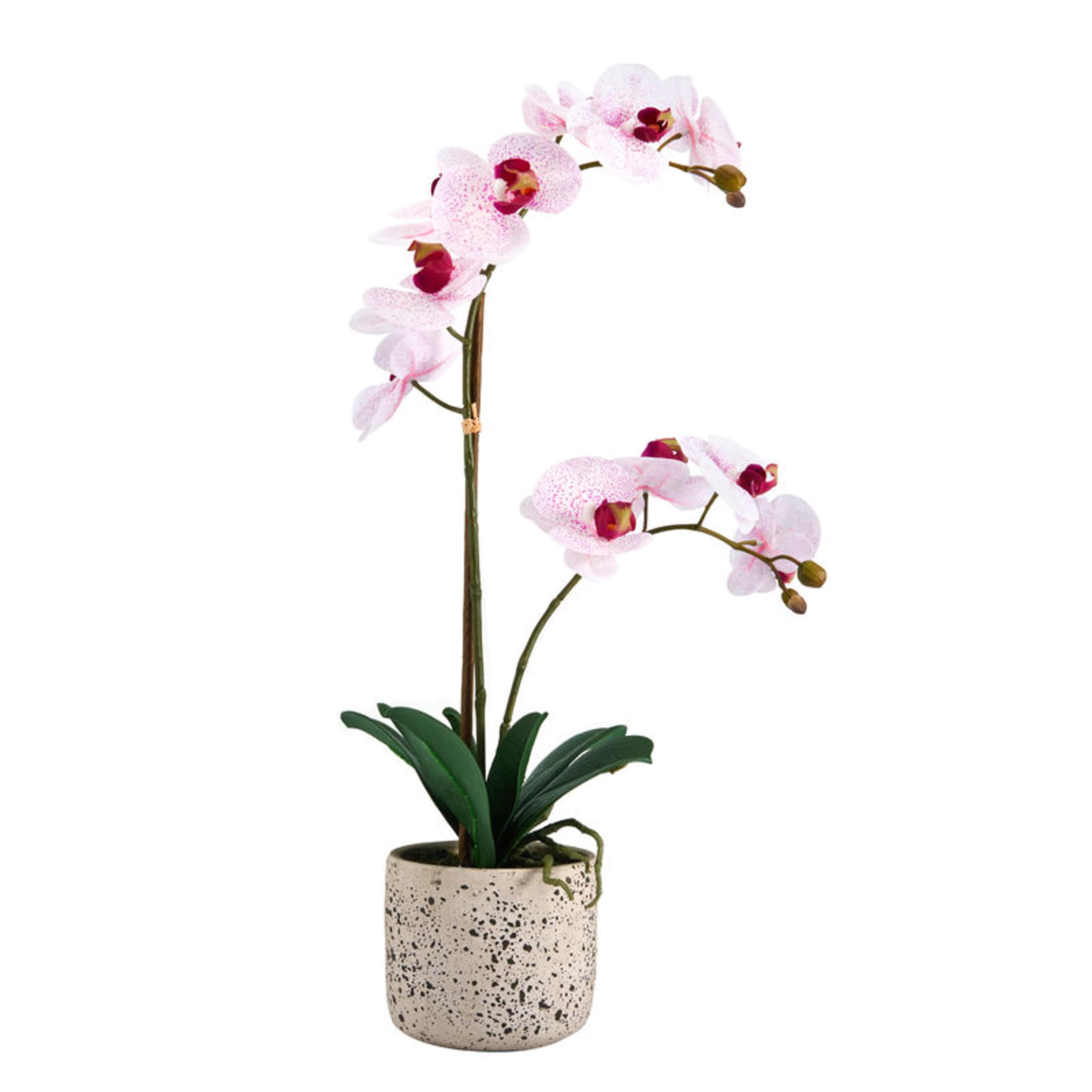 Home Accents 21-inch Artificial Real Touch Phalaenopsis Orchid Flower in Pot, Pink
