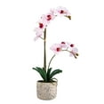 thumbnail image 5 of Home Accents 21-inch Artificial Real Touch Phalaenopsis Orchid Flower in Pot, Pink, 5 of 7