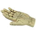 thumbnail image 2 of Design Toscano The Palmistry Hand Sculpture, 2 of 7