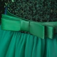 thumbnail image 6 of Dress Gift for Girls Girls Dress Long Sleeve Princess Dress Long Sequin Dress for Girls Save Big, 6 of 9