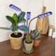 thumbnail image 5 of Luz de Cultivo Interior Bell + Howell Bionic Grow LED Flexible para Plantas de Interior, 5 of 9