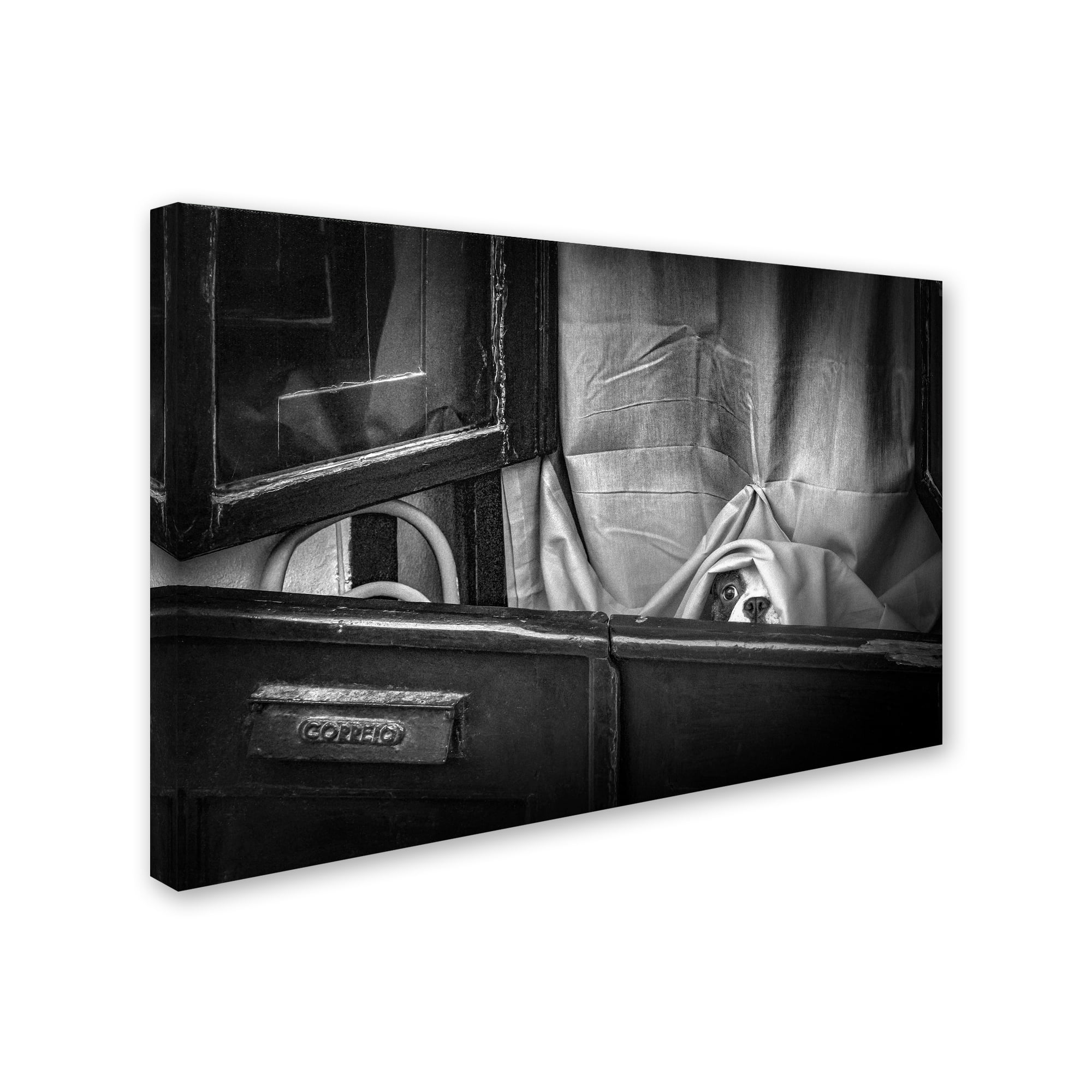 Trademark Fine Art 'Hello' Canvas Art by Fernando Jorge Gonçalves