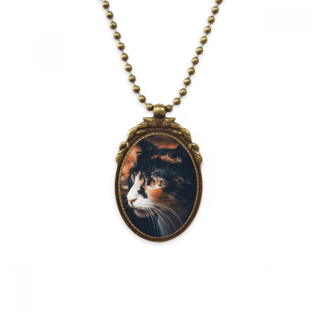 Brown Cat Stare perfil Animal Vintage Collar Colgante Vintage de bronce antiguo de joyeria de lujo de regalo Unbranded M