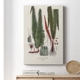 thumbnail image 6 of Botanical Society Ferns IV Premium Gallery Wrapped Canvas - Ready to Hang, 6 of 9