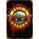 thumbnail image 1 of Placa Metal Vintage Guns N Roses Pared Pintura Hierro Rectangular (20x30 Cm), 1 of 9
