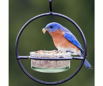 Holds 4 Oz of Jelly or Mealworms Replacement Jar for Oriole or Bluebird Feeders