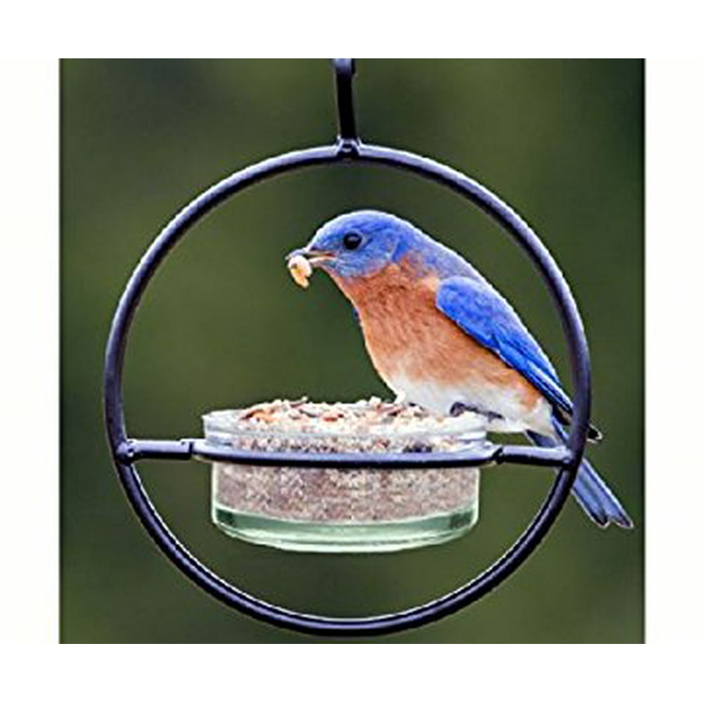 MEALWORM FEEDER 7"