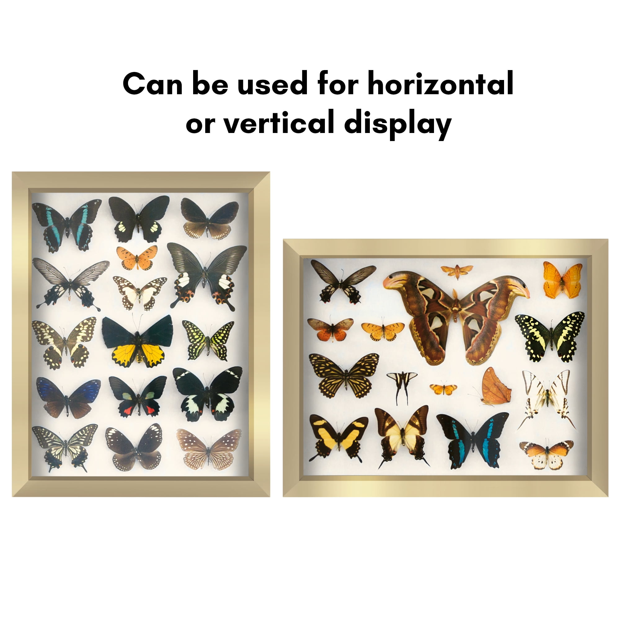 Americanflat 11" x 14"Shadow Box Frame with Shatter-Resistant Glass - Large Shadow Box Display Case for Tabletop and Wall Display - Gold