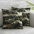thumbnail image 3 of Nawypu  Throw Pillow Cover Golden Black Marble Abstract Painting Nature Marbling Texture Art Print Decor Lumbar Pillow Case Cushion for Sofa Couch Bed Standard Queen Size, 3 of 5