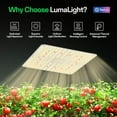 thumbnail image 5 of VIVOSUN LumaLight 100W LED Grow Light, Full Spectrum Plant Light, Smart Dimmable & High PPFD for Indoor Plants Seedling Vegetables Bloom, Fits 2×2/2×4 Grow Tents, 5 of 10