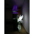 thumbnail image 3 of 9 FT Inflatable Halloween Arch, 3 of 12