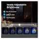 thumbnail image 4 of Letrero De Neón Stay Positive Con Luz LED Regulable De Calavera Para Decoración De Pared De Fiestas, Hogar, Sala De Estar, Dormitorio, 50cmx38cm, 4 of 7