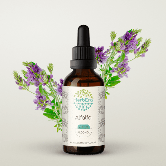 Alfalfa Alcohol Herbal Extract Tincture, Super-Concentrated Organic Alfalfa (Medicago Sativa) Dried Leaf 2 oz