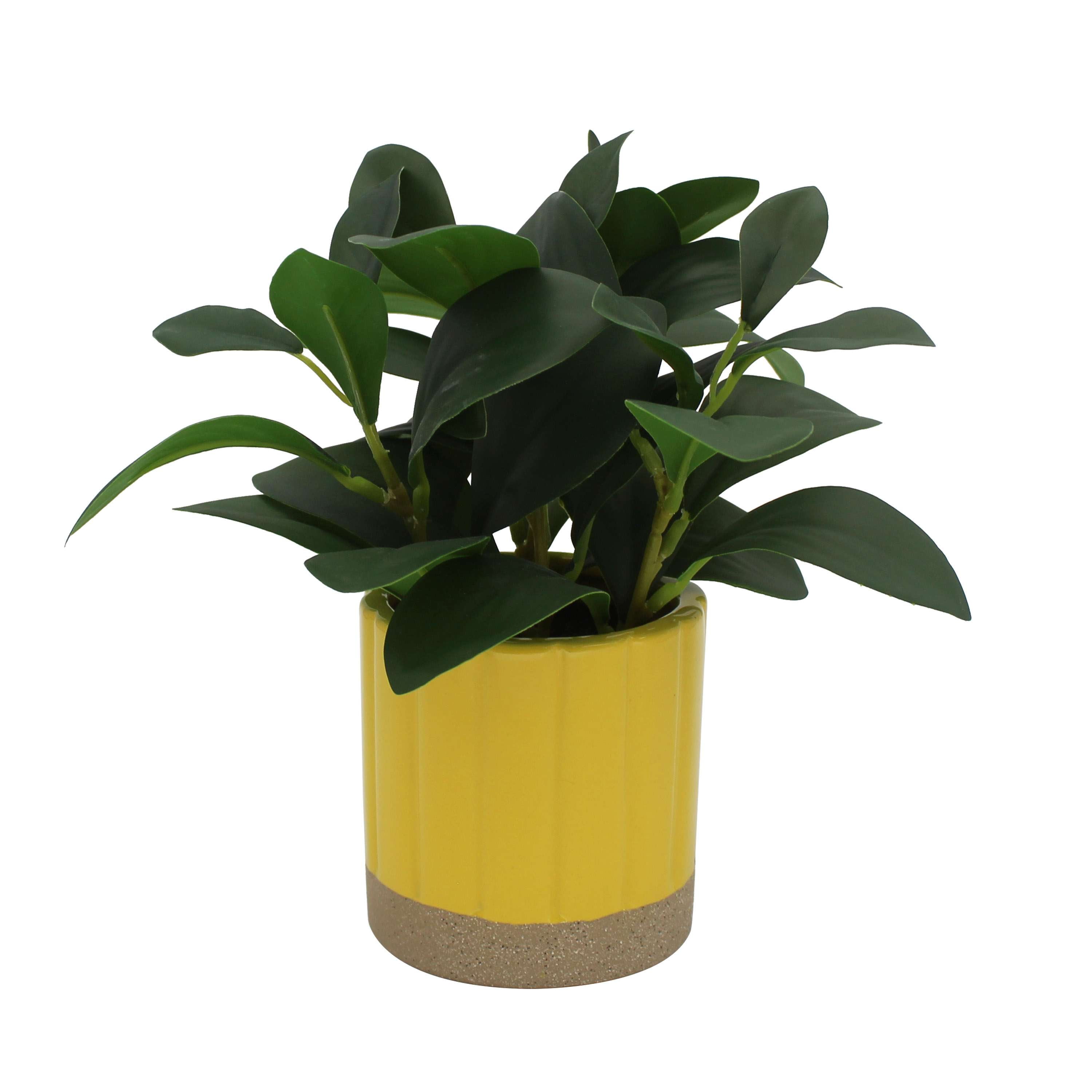 Mainstays by Becky G. & Alejandra 8 in Artificial Peperomia in Yellow Two-Tone Ribbed Ceramic Pot
