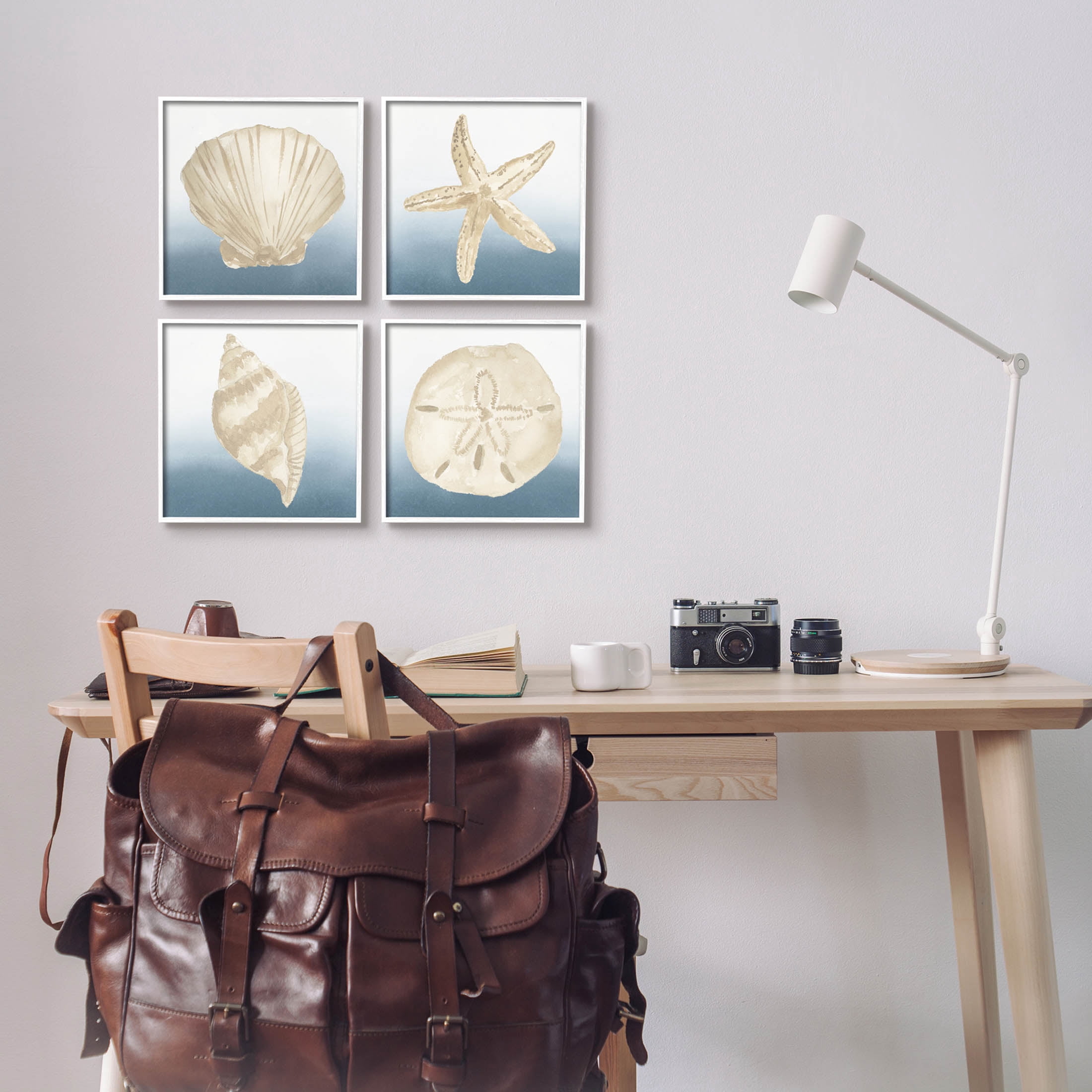 Maritime Seashells Ocean Beach Life Animals & Insects Graphic Art White Framed Art Print Wall Art, Set of 4