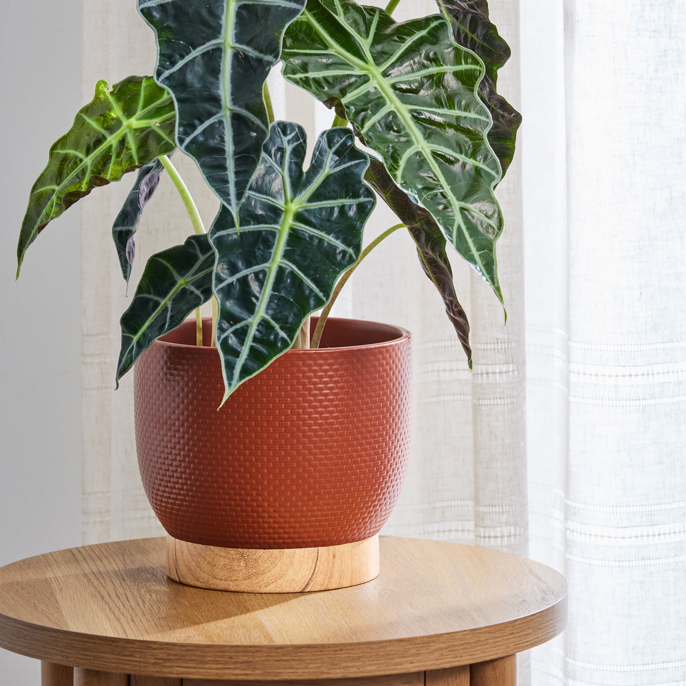 Better Homes & Gardens 8 Inch Woven Red Ceramic Planter Pot