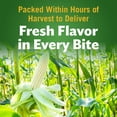thumbnail image 4 of Del Monte Harvest Selects Sweet White Whole Kernel Corn, 15.25 oz Can, Canned Vegetables, 4 of 5