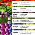 thumbnail image 4 of Simply Potent Eye Vitamins, Vision Supplements with Lutein, Zeaxanthin, Bilberry, Eyebright & Lycopene, 60 Capsules, 4 of 7