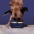 thumbnail image 5 of FAHRMOSIS Cuenco para perros de 32 onzas con inserto de alimentador lento, cuenco de agua para mascotas de acero inoxidable para razas medianas y grandes, base de goma antideslizante y alimentador de, 5 of 5