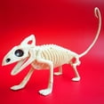 thumbnail image 2 of Animales De Halloween, Huesos, Simulación De Terror, Esqueleto, Decoración De Fiesta De Halloween Noticed HA044865-06, 2 of 4