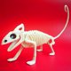 thumbnail image 2 of Animales De Halloween, Huesos, Simulación De Terror, Esqueleto, Decoración De Fiesta De Halloween Speravity HA044865-06, 2 of 4