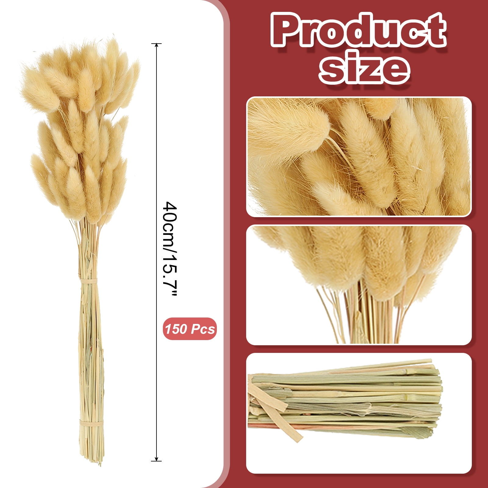 Uxcell 15.7in Bunny Tails Dried Flowers, 150pcs Pampas Grass Decor Rabbit Tail Natural Pampas Grass Bulk Fluffy Faux Pampas Grass Small Dried, Beige