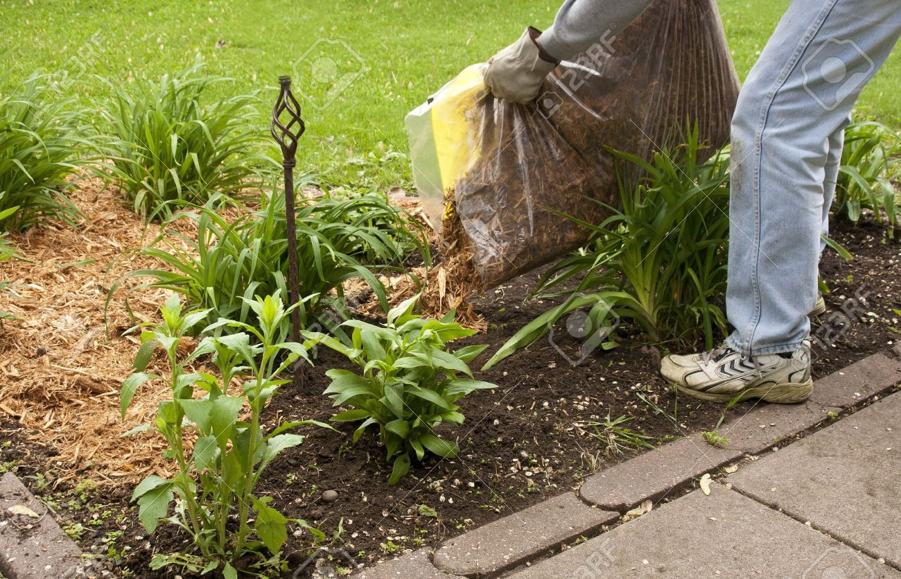 Simple Garden Cypress Mulch Gold Blend, 2 Cubic Foot.
