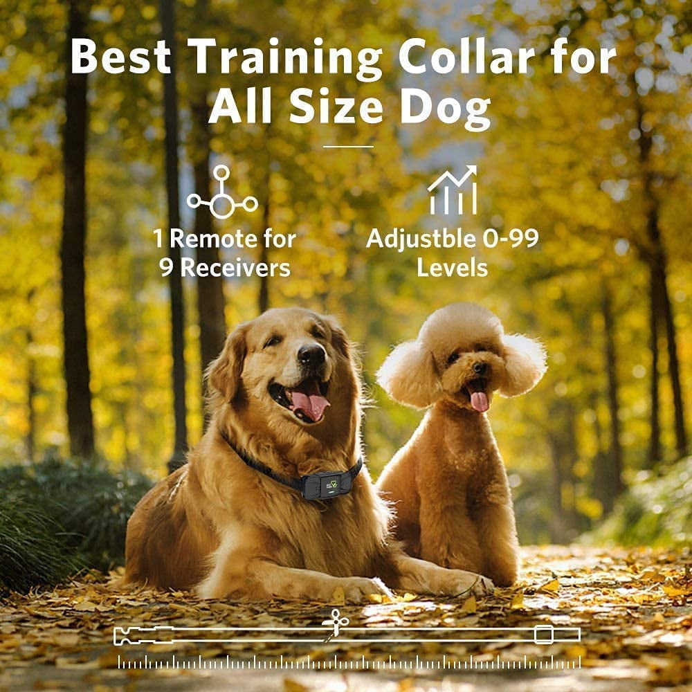DogCare Dog Training Collar - Rechargeable Dog Shock Collar with Beep, Vibration and Shock Training Modes for Dogs with Remote