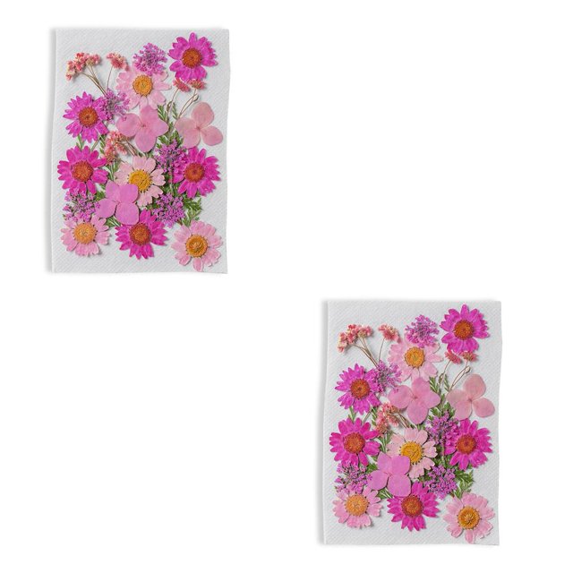 Kearding Flores secas naturales, decoración Floral, flores en relieve, suministros domésticos preservados para postales, álbumes de recortes, Rosado 2Conjunto
