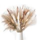 thumbnail image 2 of 170 piezas de jarrones decorativos de hierba de pampa, arreglos de diseño para el hogar, plantas de hierba de pampa seca, flores secas, 43 cm, 2 of 5