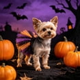 thumbnail image 2 of AuroraX Dog Halloween Costume Set Dog Costumes Halloween Small Stretchy Soft Adjustable 3 Pcs Lightweight Pet Halloween Costume National Dog Month, 2 of 6