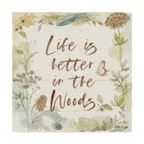 Trademark Fine Art 'Woodland Wreath V' Canvas Art by Beth Grove