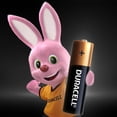 thumbnail image 5 of Paquete 48 Pilas Duracell AAA Alcalina Larga Duracion, 5 of 5