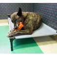 thumbnail image 5 of Juguete para Mascotas Starmark Treat Ringer Hueso FlexGrip Pequeño, 5 of 5