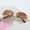 Dark brown, variant on Womens Retro Sunglasses Gradient Resin Lenses UV400 Protection Fashion Eyewear Stylish Sun Glasses for Women Plastic