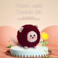 thumbnail image 5 of Crochet Kit for Beginners, Sheep Crafts Knitting Starter Set for Adults ,Easy-to-Learn Complete Crochet Starter Kit for Experts, Beginners, 5 of 7