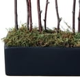 thumbnail image 3 of Vickerman Natural Birch Branches in Black Rectangle Pot, 3 of 3