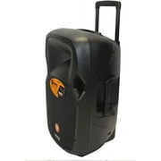 VOYZ 1000W Portable Bluetooth Speaker | 15 Two-Way | USB/SD/MP3 | Tripod Stand | 2 Mics | Perfect for Karaoke