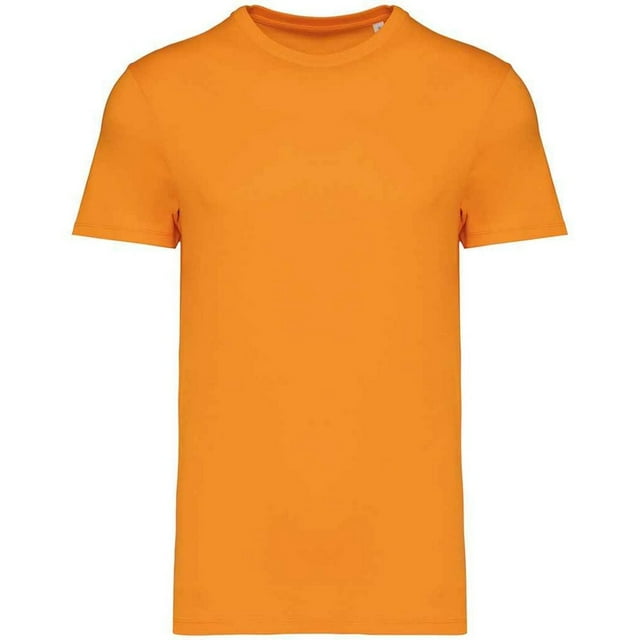 Native Spirit Adult Heavyweight Slim T-Shirt