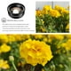 thumbnail image 4 of APEXEL APL-HB100mm Lente macro universal para teléfono inteligente 4K HD Lente de cámara para teléfono Sin distorsión Fondo borroso Compatible con iPhone 11 / XS / XS Max / XR / X / 8/8 Plus APEXEL Lente de la cámara, 4 of 7