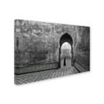 thumbnail image 2 of Trademark Fine Art 'Old World' Canvas Art by Ali Khataw, 2 of 3