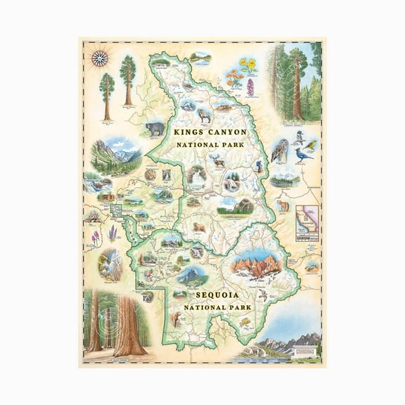 Sequoia & Kings Canyon National Parks Hand-Drawn Map - Authentic 18x24 Vintage-Style Wall Art - Lithographic Print with Soy-Based Inks - Made in USA