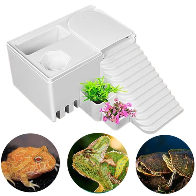 BELOVING Resting Platform Climbing Ramp Resting Terrace for Newts Terrapin Amphibians 21cmx16cmx8cm