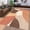 Area Rug-4, variant on World Map Area Rug, Magnetic Compass Cartography Living Room Rugs, Easy-Cleaning Anti Slip Carpet For Indoor Hallway Dining Room Entryway Home Decor 3 x 4ft