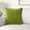 Green, variant on Byujiro 18x18 in Pillow Soft and Supportive Throw Pillow Home Decor for Living Room Bedroom Bed Cushion Outdoor