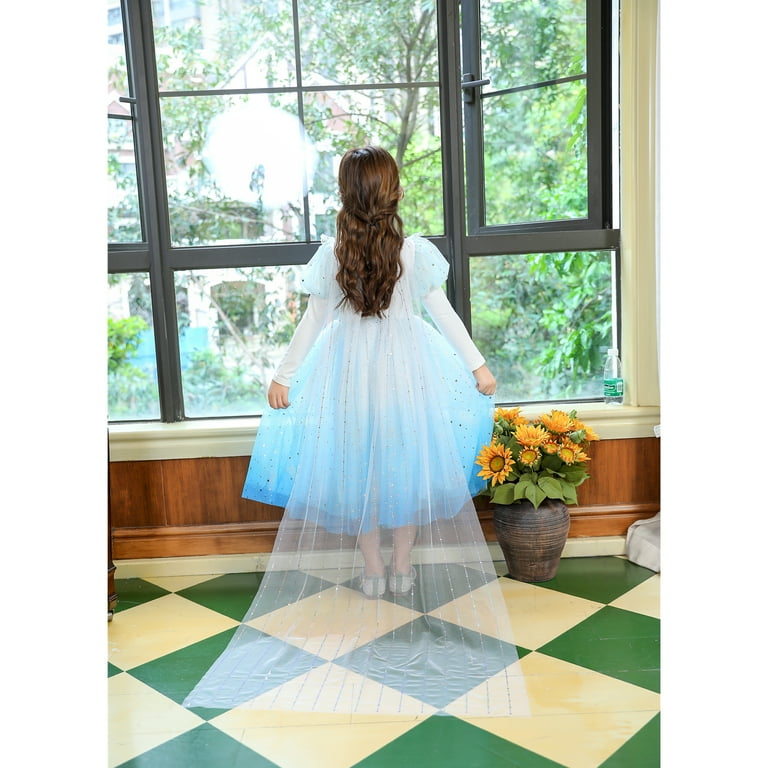 Elsa dress outlet with cape